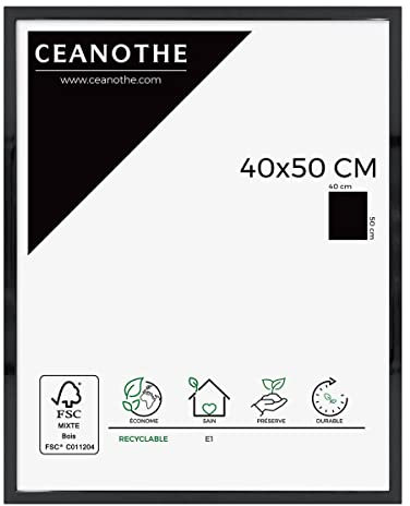 Brio Ceanothe Cadre Photo 40x50 cm Noir Moderne Convient au A3 de la Collection River Marque Française