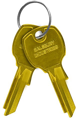 Salsbury Industries 3699 Key Blanks for Standard Locks of 4B+ Horizontal Mailboxes (Box of 50)