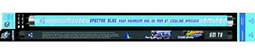 Générique Röhre T5 Lumivie Sm Blau – Tube T5