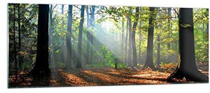 Panorama Bilder auf Glas Wald Blätter Sonne Glasbild 140x50cm Wandbilder Dekoration Wohnzimmer Schlafzimmer Küche Groß XXL Wanddeko Bild im Glas Wand Kunstdruck Art Modern Wall Decor GAB140x50-0136