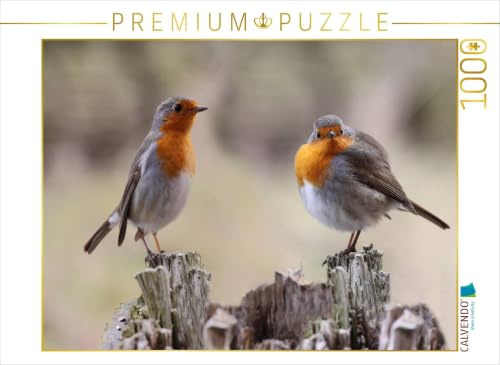 CALVENDO Puzzle Rotkehlchen dick und dünn 1000 Teile Puzzle quer | Lege-Größe cm Foto-Puzzle für glückliche Stunden
