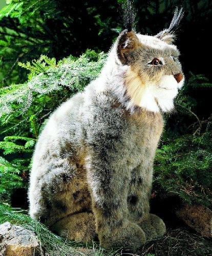 Kösener 3550 - Luchs, sitzend