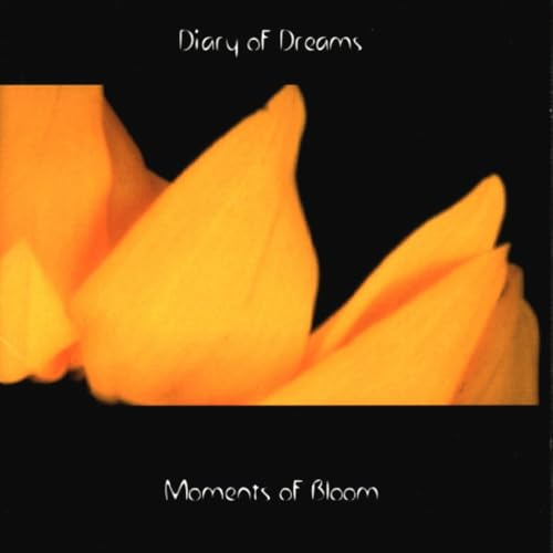 Accession / Indigo