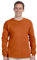 GILDAN - Adult Ultra Cotton Long-Sleeve T-Shirt (G2400), Texas Orange, X-Large
