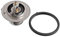 BP ADG09245 Termostato,