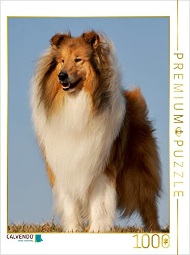 CALVENDO Puzzle EIN Motiv aus dem Kalender Collie 2017 | 1000 Teile Lege-Größe 48 x 64 cm Foto-Puzzle für glückliche Stunden