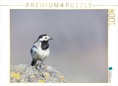 CALVENDO Puzzle Bachstelze | 1000 Teile Lege-Größe 64 x 48 cm Foto-Puzzle für glückliche Stunden