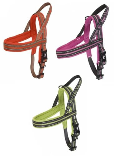 Hurtta Outdoors Norwegergeschirr grün