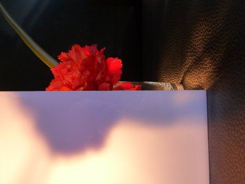 Polycarbonat Platte 600 x 500 x 4 mm Milchglas 30% Lichtdurchlässigkeit Zuschnitt alt-intech®