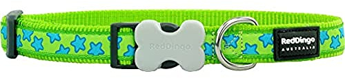 Red Dingo Bucklebone Dog Collar Design, Stars Turquoise on Lime Green, Large 25mm