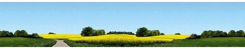FALLER 180504 - Modellhintergrund Ostholstein