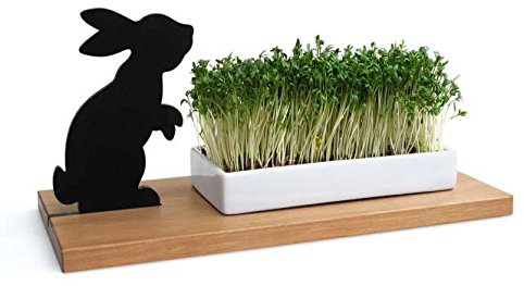 Side by Side Kresseschale smart ´n´Green, Hase