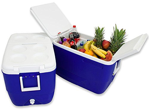 Angel Domäne Polarcooler Kühlbox 60 Liter
