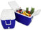 Angel Domäne Polarcooler Kühlbox 60 Liter