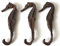 osters muschel-sammler-shop 3 Seepferdchen ca. 9cm aus Gießharz - wie echt