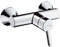 hansgrohe Focus S Aufputz Duscharmatur, für 1 Funktion, Chrom
