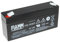 FIAMM FG10301 Batterie au plomb-acide gel 6 V 3 Ah