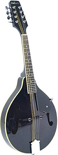 Ashbury AM-10 Mandolin - Black