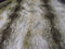 Luxus Tier Kunstfell Stoff Material Braun Wolf - Braun, 1Mtr - 150cmx100cm
