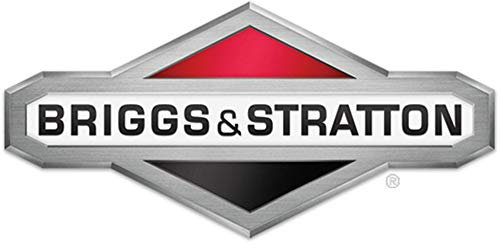 Carburateur moteur Briggs et Stratton - 799226