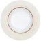 Villeroy & Boch Suppenteller 24cm VB Golden Garden Pearls