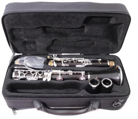 SELMER ODYSSEE Klarinetten Professionelle A Klarinetten