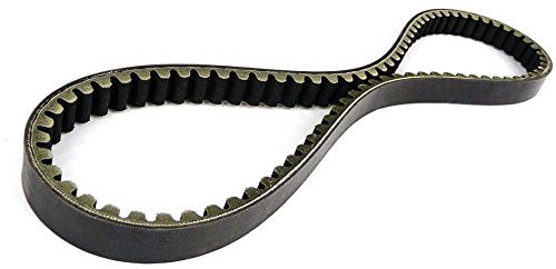 Keilriemen Antriebsriemen standard 20 x 835 mm, verzahnt Praktiker Rex Sukida Obi Baumarkt Motorro Otto Versand Longjia Kreidler Moto Zeta Baotian