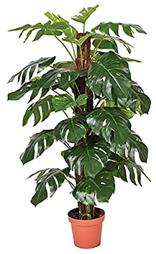 Catral | Planta Artificial Monstera 135 Cm | Plantas Artificiales Decorativas | Planta Artificial Realista | Planta Artificial Grande | Planta Tropical | Ideal para Decoración De Hogar Y Oficina