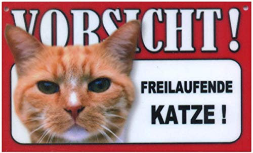Spaß Kostet Türschild Warnschild Freilaufende Katze