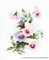 Luca-S Stiefmütterchen rosa Kreuzstichset, Baumwolle, Mehrfarbig, 21,5x27,5cm