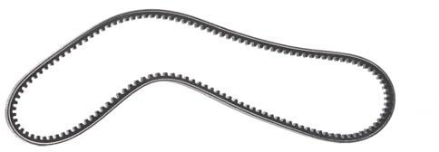 DAYCO 13A1000C Gürtel