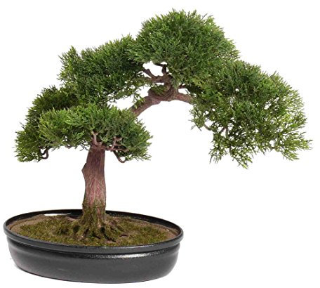 Künstlicher Bonsai Ceder mit ca. 225 Blätter und bemooster Schale 40cm hoch - Naturgetreuer Kunstbonsai Bonsaibaum