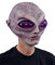Alien Grey Costume Mask Adult One Size
