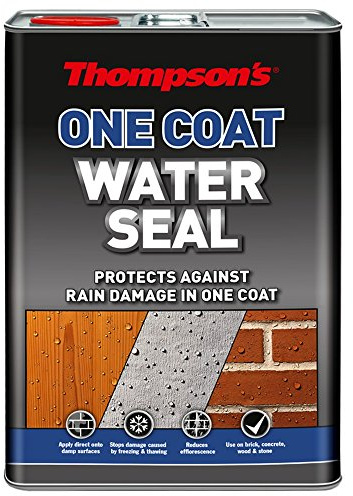Thompson's One Coat Water-Seal 5Lt