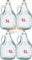 BDG5Z Glass Carboy Fermentation Bottles, 5 L, Set of 4