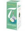 Original Special T - Jasmine Flowers - Grün Tee - 30 Kapseln (3 Packungen) für Nestlé Tee Maschinen - hier bestellen