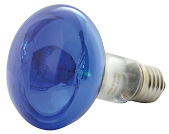 qtx R80 Coloured Reflector Lamps | BLUE