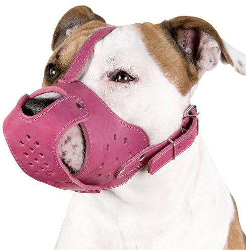 CollarDirect Hunde-Maulkorb Pitbull Amstaff aus echtem Leder, Staffordshire Terrier (Rosa)