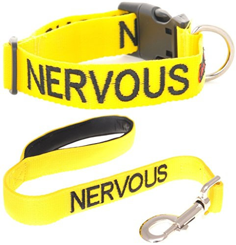 NERVOUS (Give Me Space) Yellow Colour Coded S-M L-XL Dog Collar and 60cm 1.2m 1.8m Luxury Neoprene Padded Handle Lead Sets PREVENTS Accidents By Warning Others Of Your Dog In Advance (S-M & 60cm)