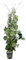 1 Topf Hydrocotyle Sibthorpioides, kleinblättriger Wassernabel, Aquariumpflanzen