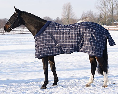 QHP Stalldecke 300 g Füllung Stripe Fleecekragen Kreuzg. Schweiflatz Winter 2017 (110 cm, Blau Kariert)