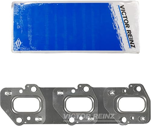 Reinz 71-40494-00 DANA