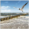 ARTland Wanddeko Glasbilder Wandbild Glas Bild einteilig Quadratisch Strand Möwen Meer Wellen Küste Ostsee Sommer Urlaub Natur Landschaft T5QR