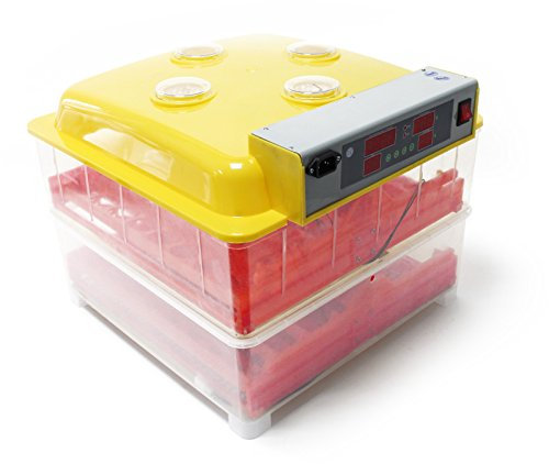 Wiltec Automatische Brutmaschine für 72 Eier, Inkubator mit vollautomatischem Wendesystem, Brutautomat mit Temperatursteuerung und Feuchtigskeitsregulierung, Brutkasten zum Eier ausbrüten