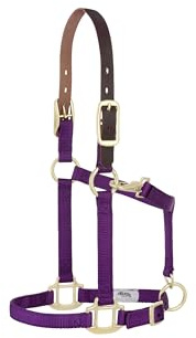 Weaver Leather Sicherheits-Halfter für Fohlen und Ponys aus Nylon, verstellbar, Violett