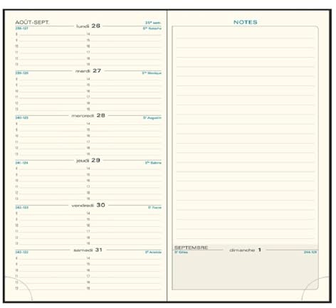 Exacompta 17840 Nachfüllpackung für Espace, 17 Wochen-Seiten und Notizseiten, Januar-Dezember 2018, Terminplaner