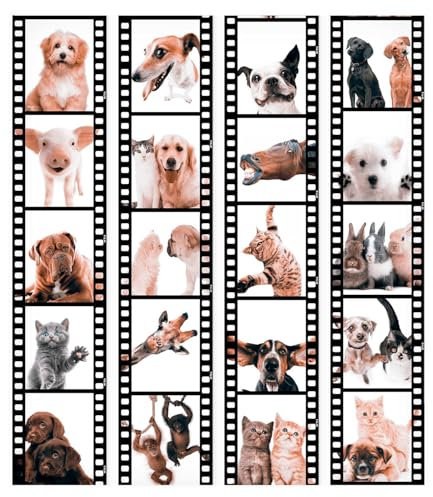 murando Papel Pintado PURO 10m Fotomurales tejido no tejido rollo Decoración de Pared decorativos Murales XXL moderna de Diseno Fotográfico Animal Gato Perro Caballo Cerdo Conejo g-C-0026-j-b