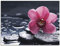 ARTland Wanddeko Glasbilder Wandbild Glas Bild einteilig 80x60 cm Querformat Asien Natur Botanik Blumen Blüten Orchideen Zen Entspannung Pink T9MN