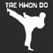 INDIGOS UG Aufkleber - Autoaufkleber - JDM - Die Cut - Karate Martial Arts Taekwondo Decal Window Sticker - weiß - 88mmx99mm