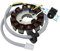 Lichtmaschine Stator 12 Polig 12 Spulen für Yamaha Aerox SA14/5BR,Axis,Breeze,Jog R,Neos,Why